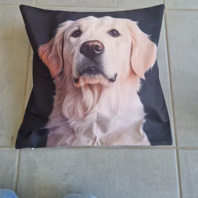 Magnifique housse de coussin 45x45cm 